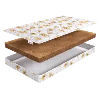 Kinder Dream 9