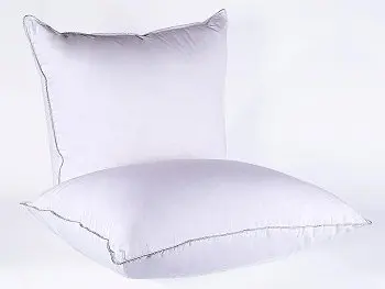 Подушка Natures Серебряная мечта 50х90, средняя